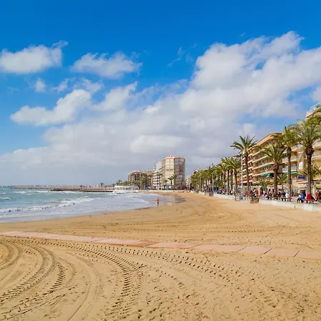 Alegria Id103 아파트 *